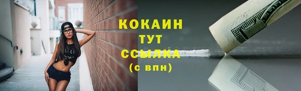 прущие грибы Арсеньев