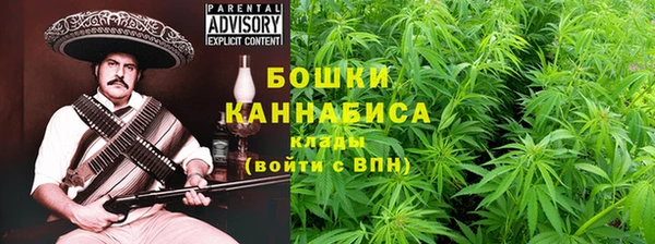 прущие грибы Арсеньев